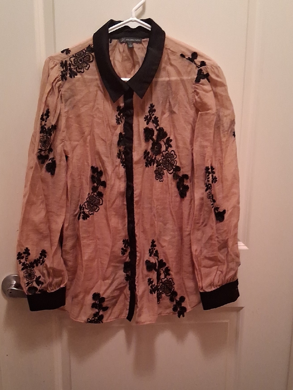 Adrianna Papell Botton Down Shirt